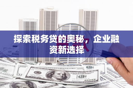 齐齐哈尔探索税务贷的奥秘，企业融资新选择