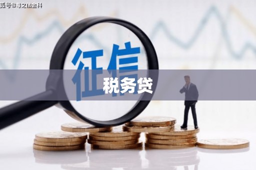 齐齐哈尔税务贷