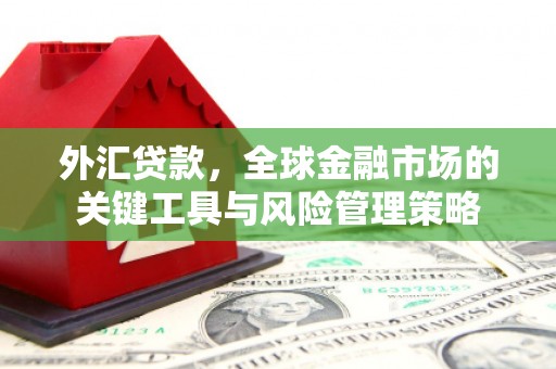 齐齐哈尔外汇贷款，全球金融市场的关键工具与风险管理策略