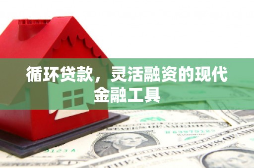 齐齐哈尔循环贷款，灵活融资的现代金融工具