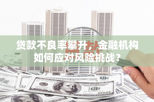 齐齐哈尔贷款不良率攀升，金融机构如何应对风险挑战？