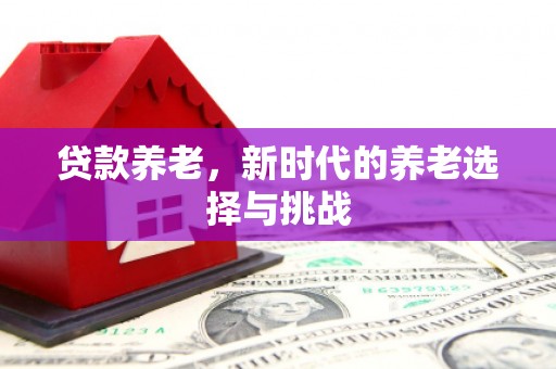 齐齐哈尔贷款养老，新时代的养老选择与挑战