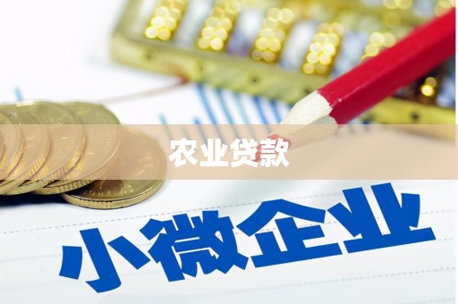 齐齐哈尔农业贷款