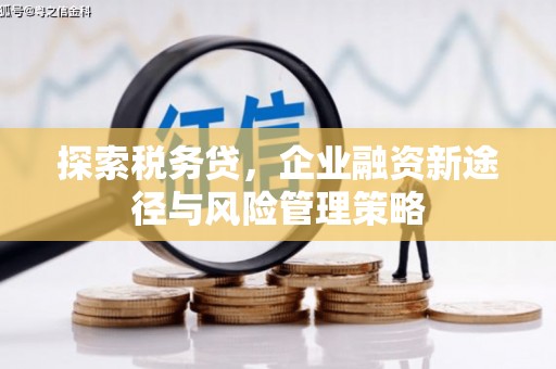 齐齐哈尔探索税务贷，企业融资新途径与风险管理策略