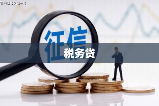 齐齐哈尔税务贷