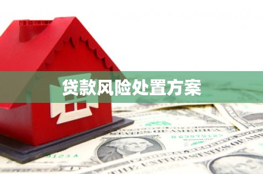 齐齐哈尔贷款风险处置方案