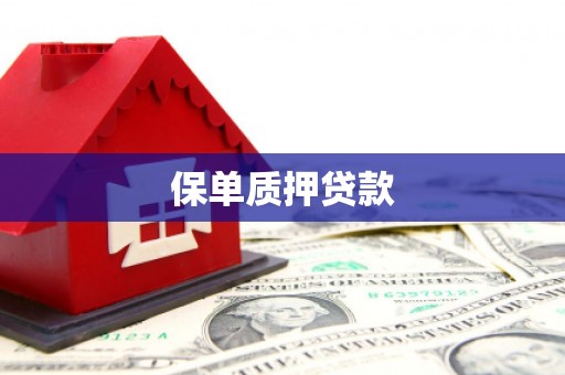 齐齐哈尔保单质押贷款