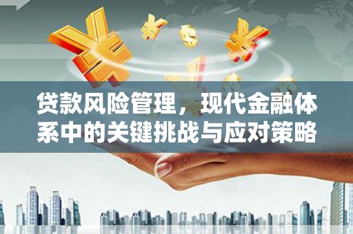 齐齐哈尔贷款风险管理，现代金融体系中的关键挑战与应对策略