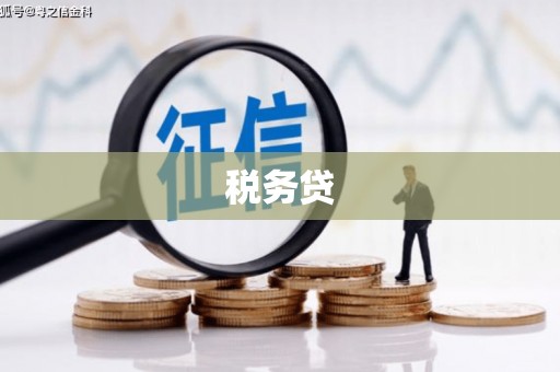 齐齐哈尔税务贷