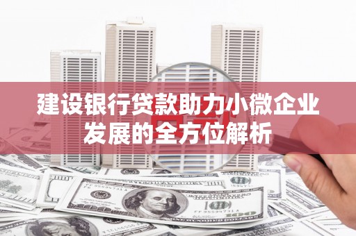 齐齐哈尔建设银行贷款助力小微企业发展的全方位解析