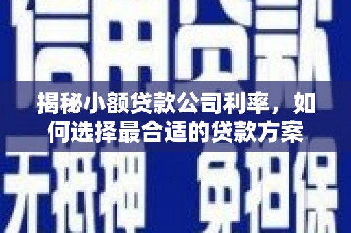 齐齐哈尔揭秘小额贷款公司利率，如何选择最合适的贷款方案