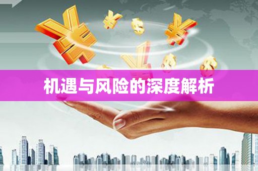 齐齐哈尔机遇与风险的深度解析