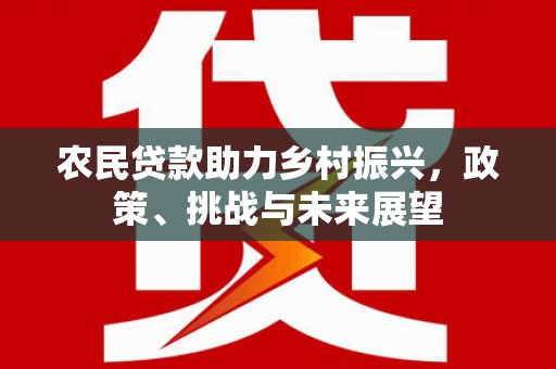 齐齐哈尔农民贷款助力乡村振兴，政策、挑战与未来展望