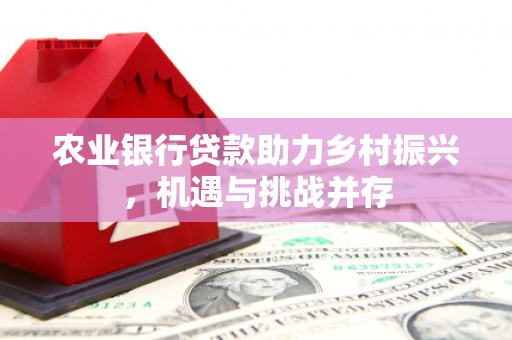 齐齐哈尔农业银行贷款助力乡村振兴，机遇与挑战并存