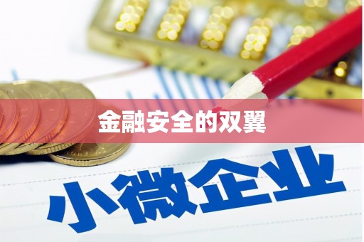 齐齐哈尔金融安全的双翼
