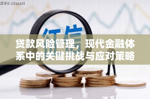齐齐哈尔贷款风险管理，现代金融体系中的关键挑战与应对策略