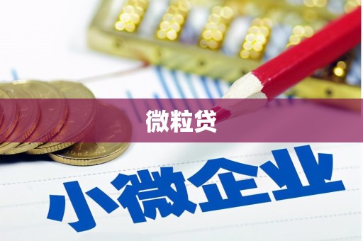 齐齐哈尔微粒贷