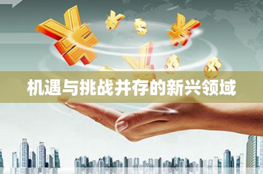 齐齐哈尔机遇与挑战并存的新兴领域