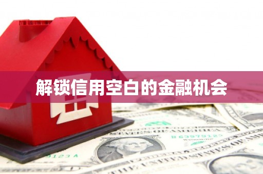 齐齐哈尔解锁信用空白的金融机会