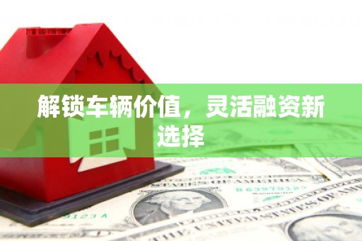 齐齐哈尔解锁车辆价值，灵活融资新选择