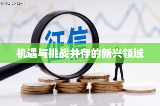齐齐哈尔机遇与挑战并存的新兴领域